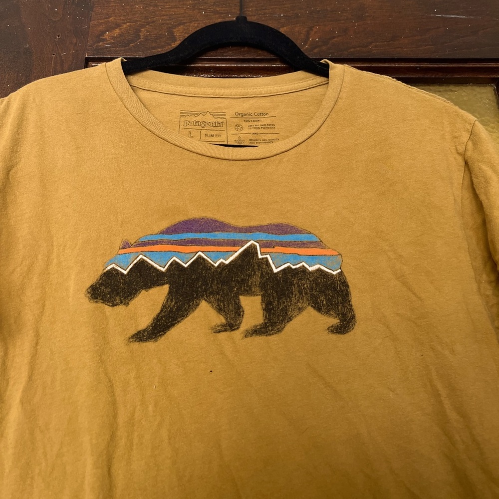 Vintage Patagonia t-shirt